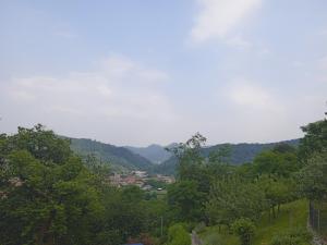 Naturlandschaft in der Nähe des Bed & Breakfasts
