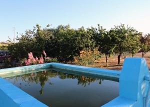 einen Pool mit Bäumen im Hintergrund in der Unterkunft Vivienda Turistica Rural Casa Santa Clara in Hinojosa del Duque
