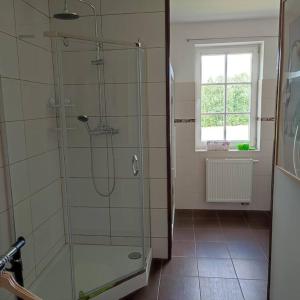 a bathroom with a glass shower with a window at Apartament Urocze miejsce in Kazimierz Dolny