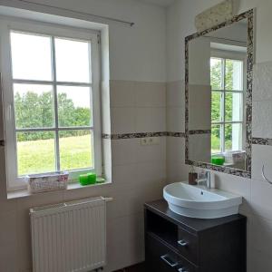 a bathroom with a sink and a mirror at Apartament Urocze miejsce in Kazimierz Dolny