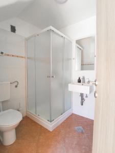 a bathroom with a shower and a toilet and a sink at Apartment Muretto in Bašanija