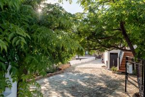 A garden outside ApteraMare Tradidtional house 'New listing'