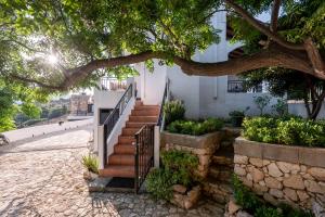 A garden outside ApteraMare Tradidtional house 'New listing'