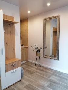 a dressing room with a mirror and a potted plant at Klein Haus 12A in Sulzbach-Rosenberg