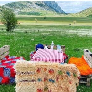 a picnic table in the middle of a field at Camping Cajupi in Gjirokastër