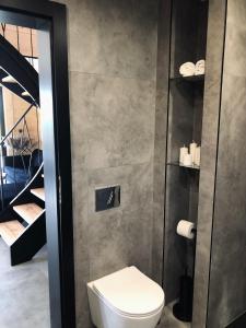 a bathroom with a toilet and a wall with shelves at Czarne Jodły in Jabłonka +40 photos