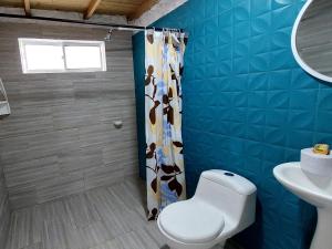 a blue bathroom with a toilet and a sink at Hotel Cabaña Playa DanRay in Coveñas
