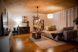Televisyen dan/atau pusat hiburan di Bonnystay Passau River Side 100 qm für 4 Personen