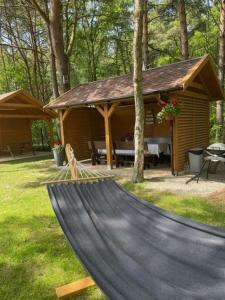 a hammock in a yard with a house at Villa OCTOPUS in Dąbki