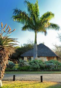 a palm tree in front of a house at Komati River Chalets in Komatipoort