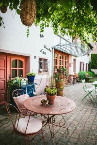 un gato sentado en una mesa en un patio en les hortensias La Souris Des Champs, en Étival-Clairefontaine