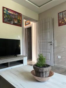 ein Wohnzimmer mit einem TV und einer Topfpflanze auf dem Tisch in der Unterkunft Apartmani Rezevici in Budva