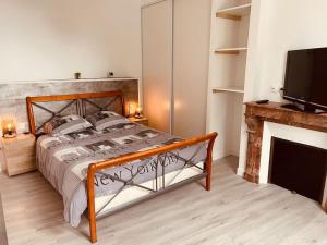 een slaapkamer met een bed, een open haard en een televisie bij Superbe appartement à la croisée des 4 Châteaux in Lignières-de-Touraine