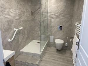 een badkamer met douche en toilet bij Superbe appartement à la croisée des 4 Châteaux in Lignières-de-Touraine