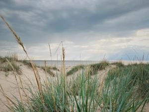 una spiaggia sabbiosa con erba e l'oceano sullo sfondo di Hailuoto Marjaniemi - Rantasumppu Cottage 9 with Sauna a Hailuoto