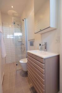 uma casa de banho com um lavatório, um WC e um chuveiro em Dock House 95-97 em Middelfart