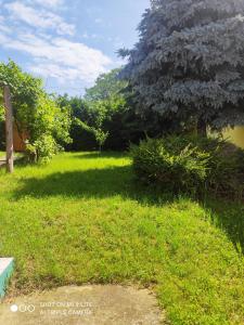 Vonkajšia záhrada v ubytovaní Labdarozsa Apartmanhouse