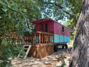 a tiny house sitting on a stump in a tree at Les roulottes de Bayama - logement insolite avec jacuzzi in Mougins