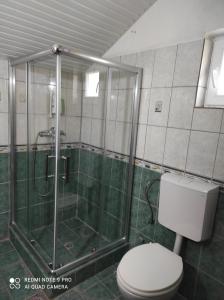 un baño con ducha y WC en Aleks, en Ohrid 11 fotos más