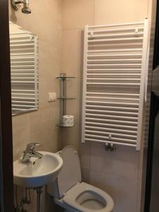 łazienka z umywalką, toaletą i oknem w obiekcie W Pieninach w mieście Sromowce Wyżne