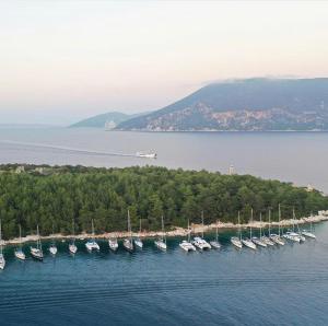 a bunch of boats are docked in the water at Paradise House apart3, 5min walking distance to Fiskardo center in Fiskardo