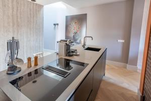 Een keuken of kitchenette bij Luxe appartementen Havenzicht