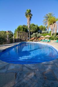 einen großen blauen Pool mit Stühlen und Palmen in der Unterkunft Tu Villa Rural Alakran 2 Dormitorios in Alhaurín el Grande