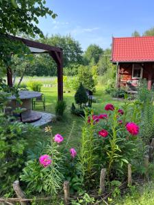 a garden with pink flowers and a picnic table at Domek pod lasem in Pasłęk