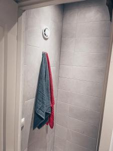 a shower with a red and green towel at Tamula loftid in Võru