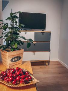 TV a/nebo společenská místnost v ubytování Tamula loftid