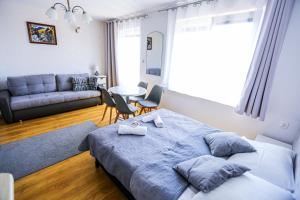 ウェバにあるVilla Róża pokoje & apartamentyのベッドルーム1室(ベッド1台付)、リビングルームが備わります。