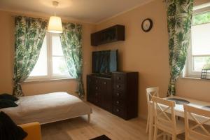 TV a/nebo společenská místnost v ubytování Apartament Polaniczanka