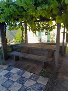 a wooden bench under a tree on a checkered floor at Ostello Santa Maria 6541 Santa Maria in Santa Maria