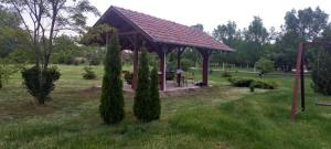 Jardí fora de Salaš Đorđević
