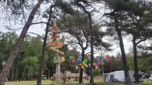 Zahrada ubytování Paradise Camp