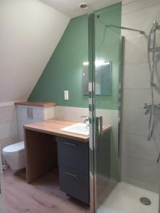 a bathroom with a shower and a sink and a toilet at Le Montjoux, appartement calme, toutes commodités in Besançon