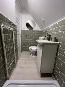 Koupelna v ubytování Helló Zsóry Apartman