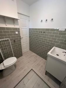 Koupelna v ubytování Helló Zsóry Apartman
