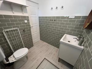 Koupelna v ubytování Helló Zsóry Apartman