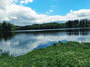 vistas a un lago con árboles en el fondo en Dom wakacyjny - Usłysz Ciszę Mazury, 