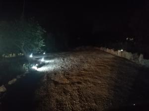 Fotografia z galérie ubytovania il borghetto in valle d'itria v destinácii Martina Franca
