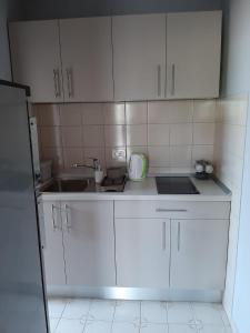 Küche/Küchenzeile in der Unterkunft Apartment Ivan