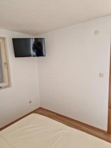 TV a/nebo společenská místnost v ubytování Apartment Misic