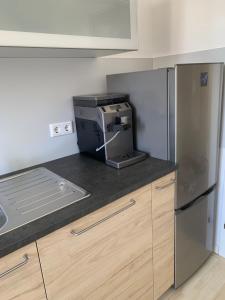 eine Küche mit einem Kühlschrank und einem Drucker auf der Theke in der Unterkunft Apartment Am Jakobsweg in Erfurt