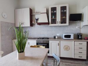 a kitchen with white cabinets and a table with a plant at Camere Infinity Rooms in Castelfidardo