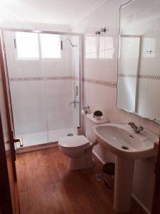 W łazience znajduje się toaleta, prysznic i umywalka. w obiekcie Apartamento mirador del Mar w mieście Las Palmas de Gran Canaria