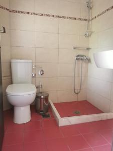 a bathroom with a toilet and a shower at Aggelina in Nydri