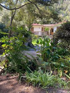 Gallery image of Twin Totara Cottage in Upper Hutt