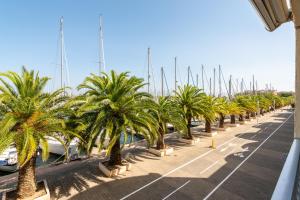 una fila di palme in un parcheggio di Studio cabine Viktoria a Gruissan