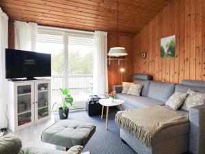 salon z kanapą i telewizorem w obiekcie Holiday Home Foldenvej II w mieście Jerup